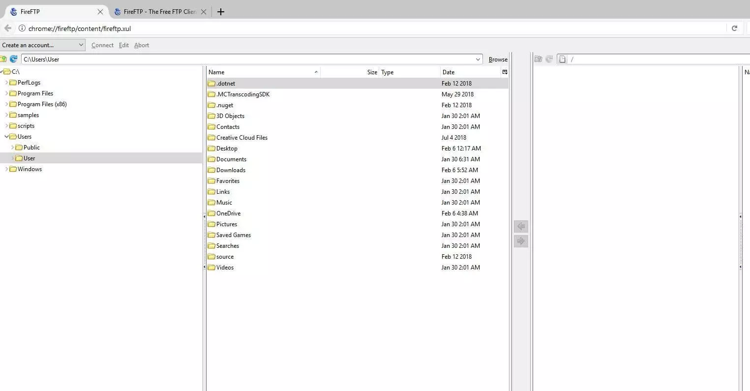 Immagine: Estensione FireFTP nel browser Waterfox