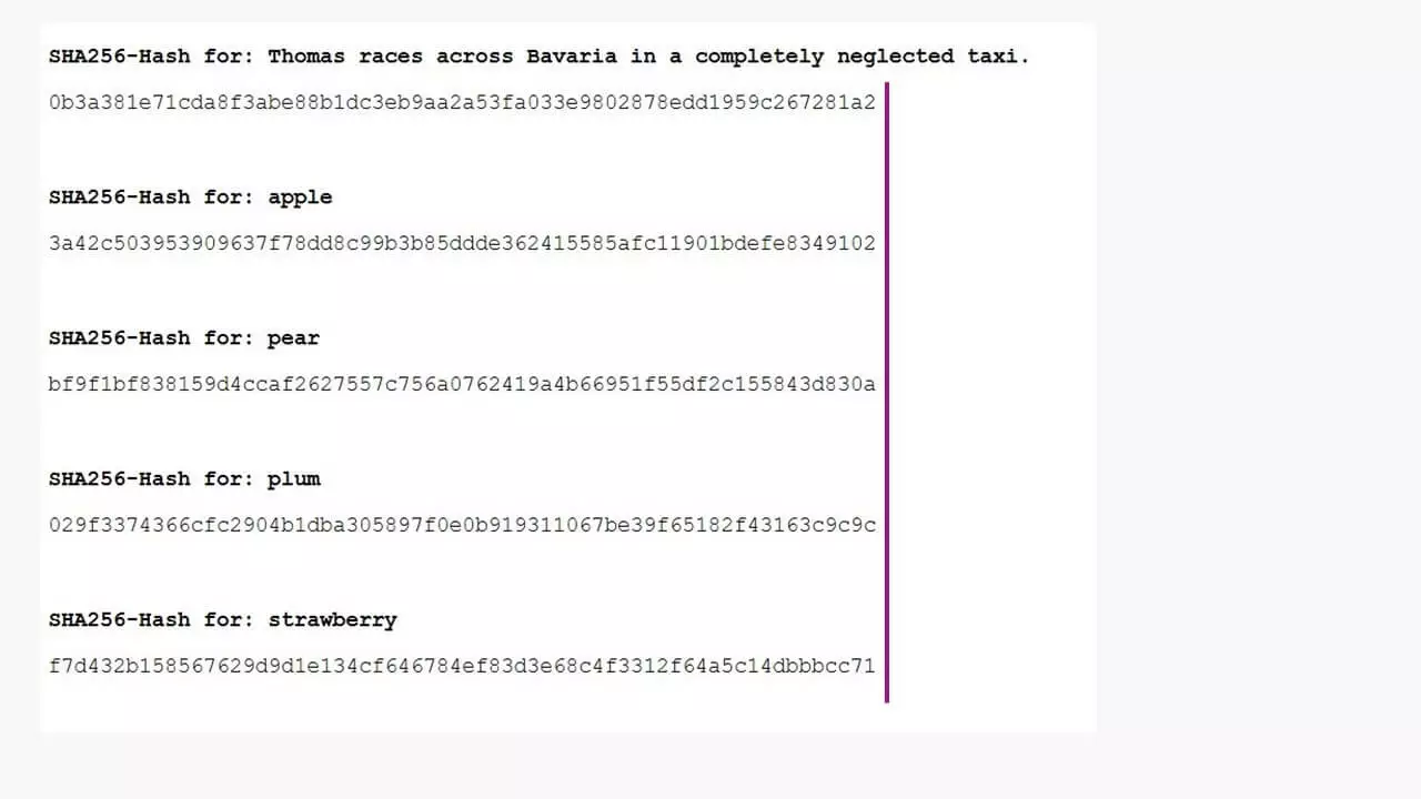 Immagine: I valori di hash hanno sempre la stessa lunghezza