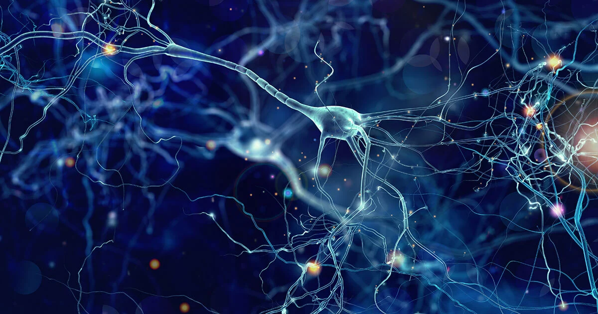 Immagine: Cos’è l’intelligenza artificiale (IA)?