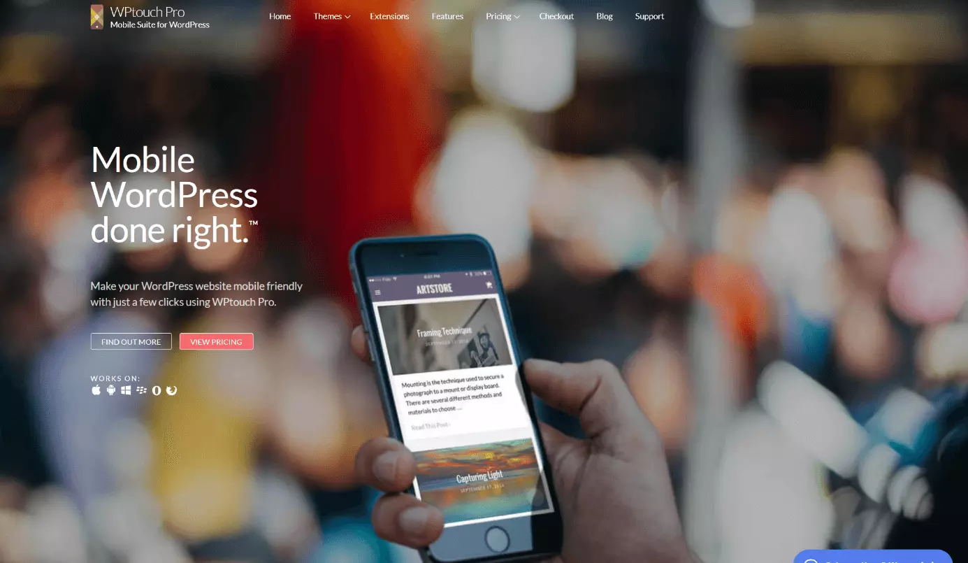 Immagine: Screenshot del sito di WPtouch Pro